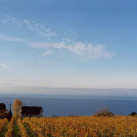 Abc Abc B1 Apartman *